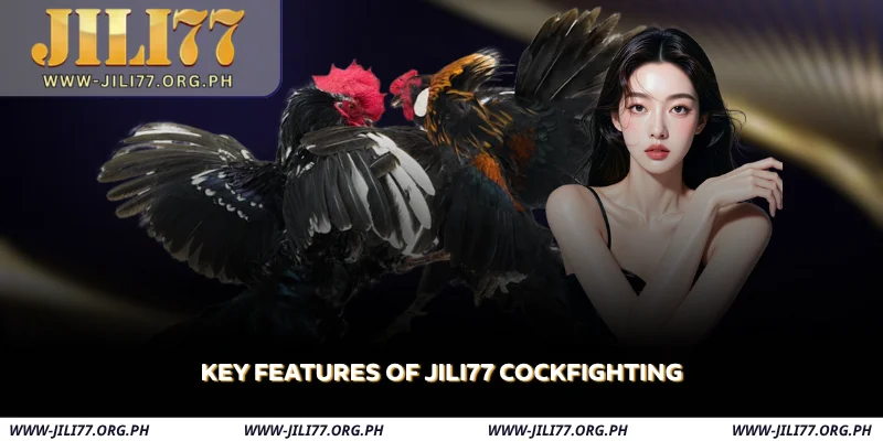 key features of jili77 cockfighting